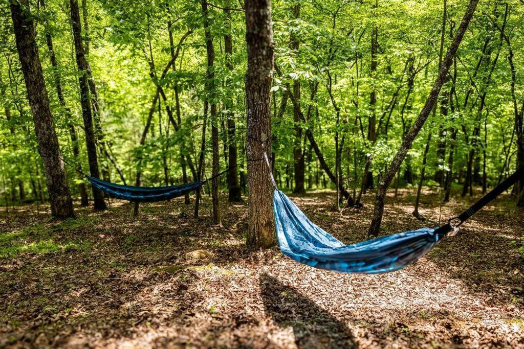 Luxe Family Cabin 8 Min To Downtown Blue Ridge Extérieur photo